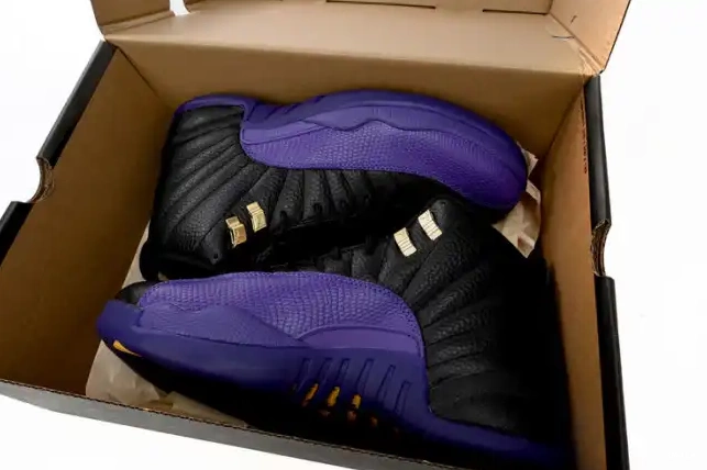 Bmlin 12 CT8013-057 Jordan Air Retro Field Purple 0529